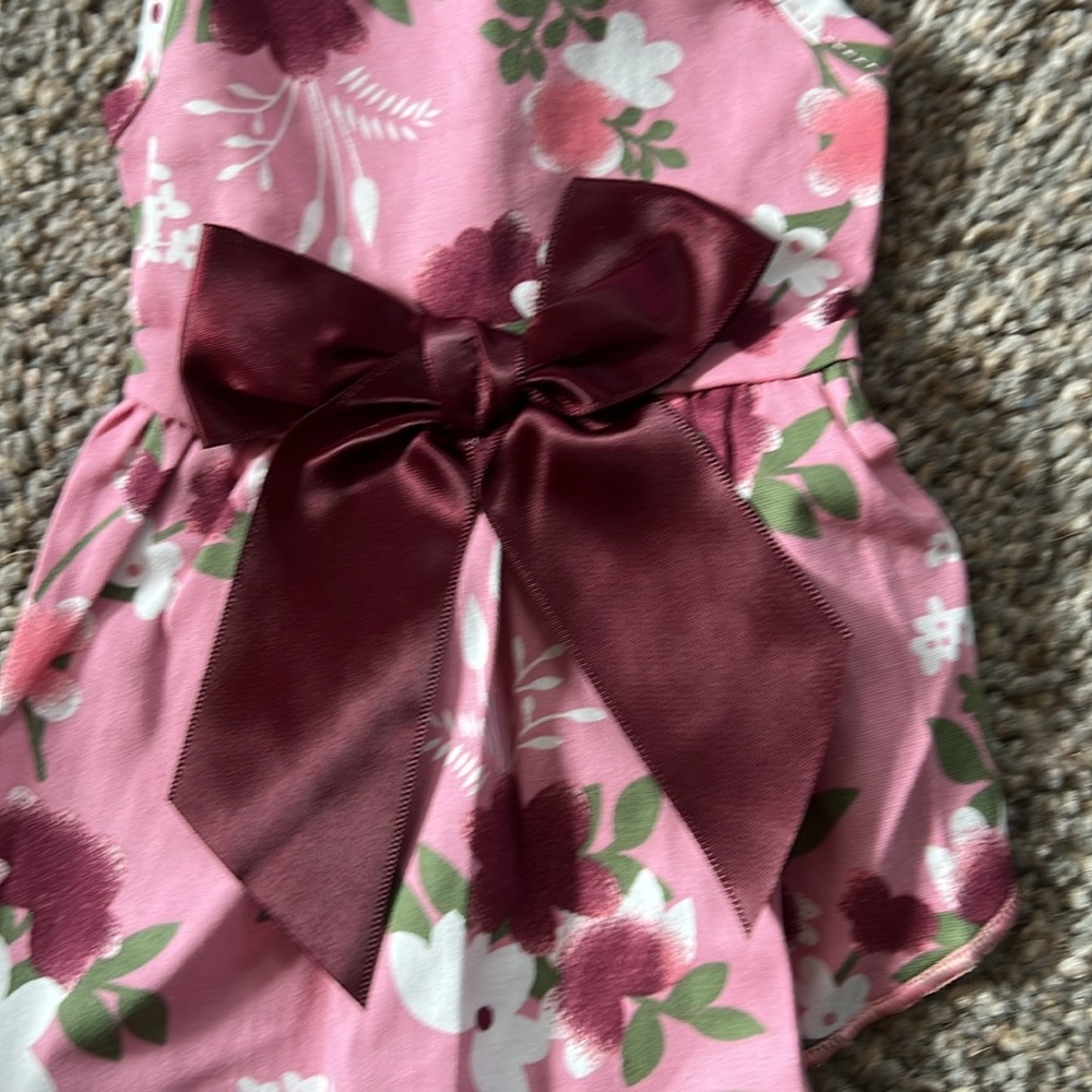 Cat dress - Picture 3 of 3